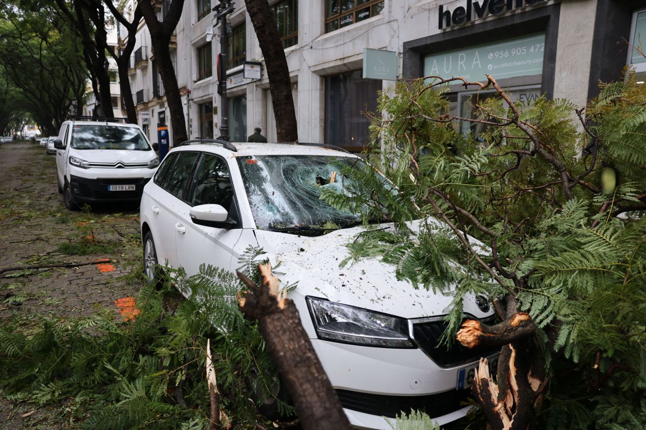 Jerez logra una ayuda del Gobierno de más de 13 millones de euros para arreglar los destrozos de las borrascas