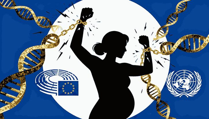 El Parlamento Europeo condena la gestación subrogada. - 