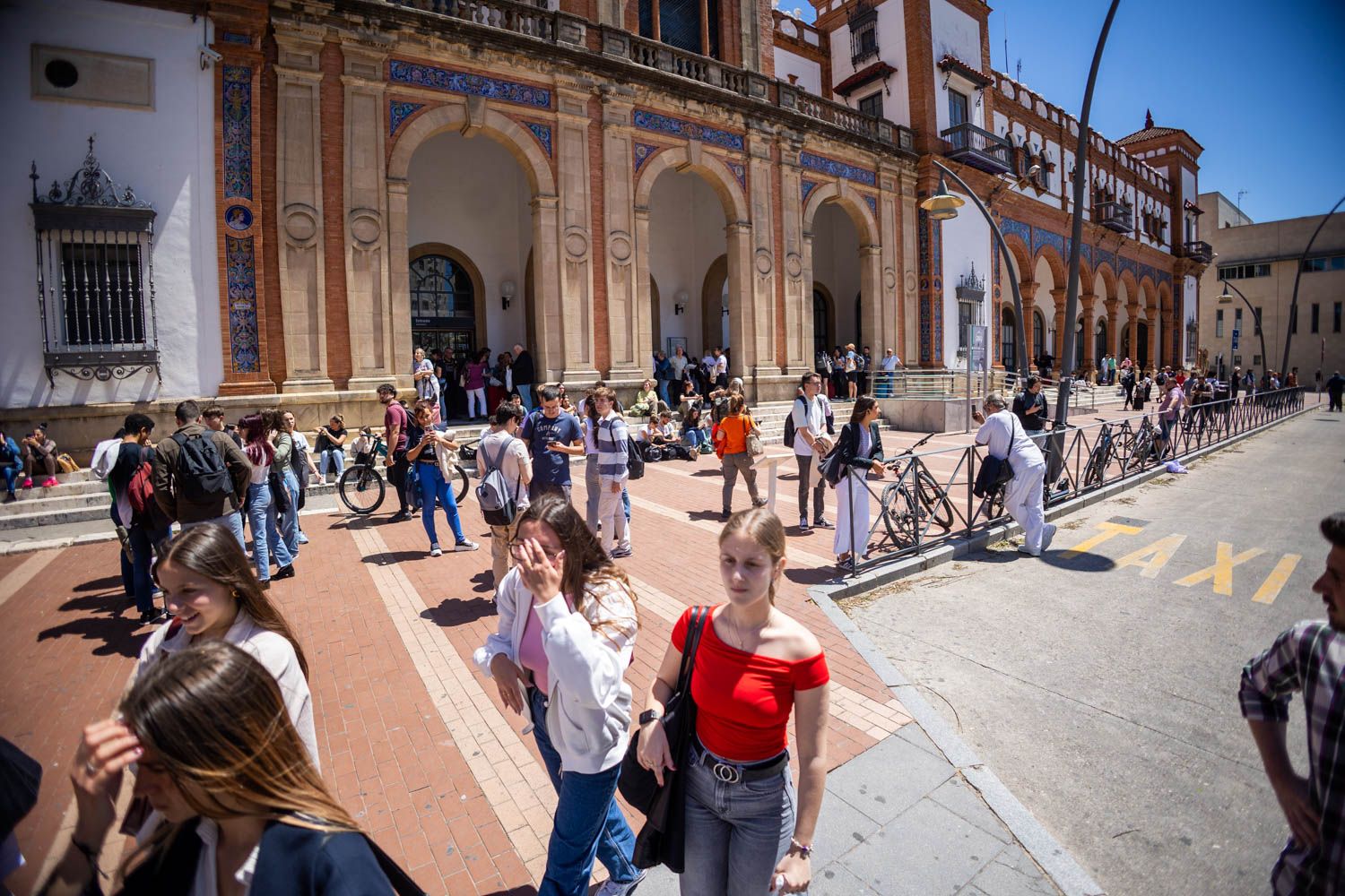 El Tío Pepe Festival se sube al tren un año más: Renfe ofrecerá descuentos para viajar al festival de Jerez este verano