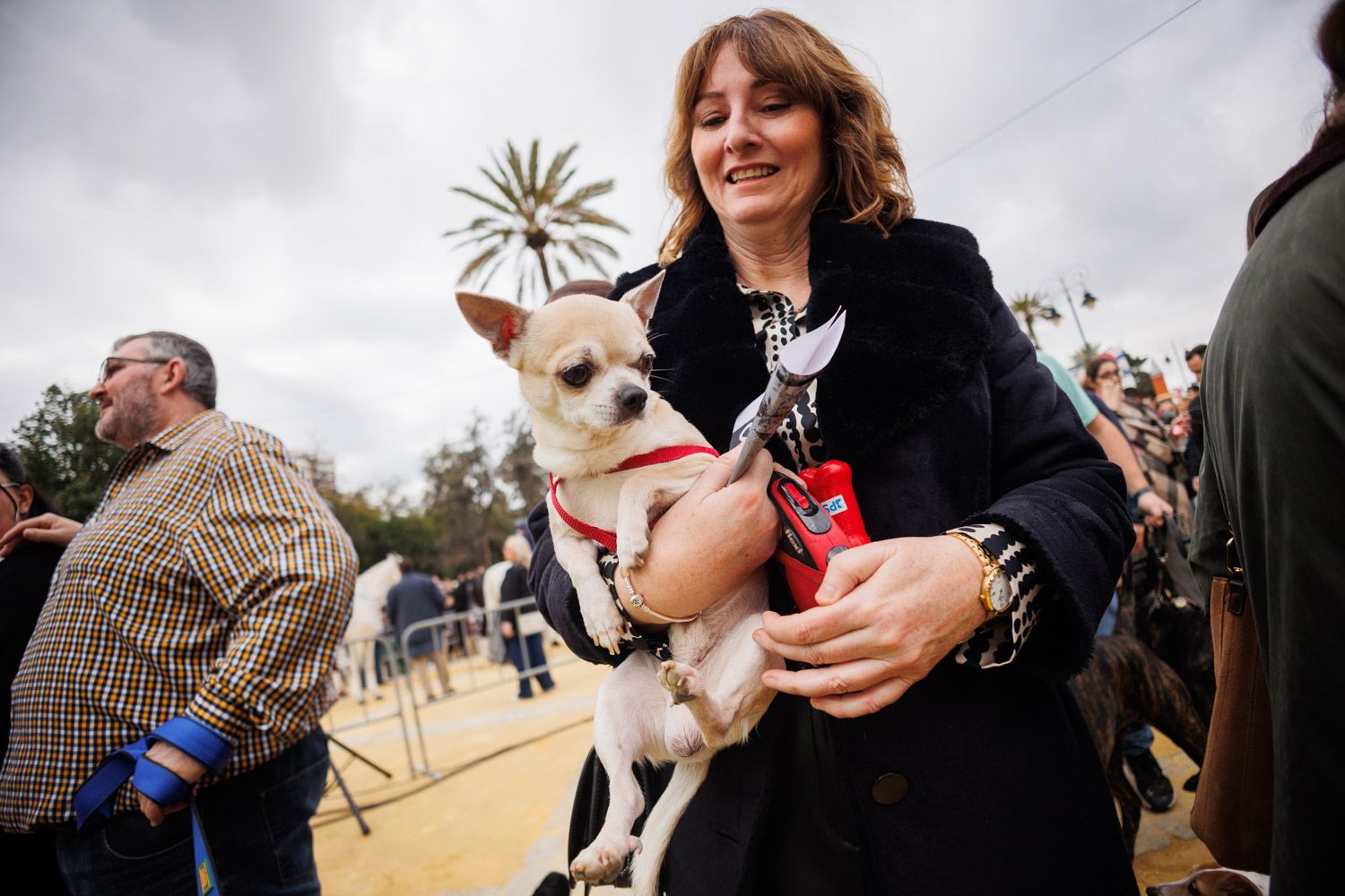 Los animales de Jerez ya están bendecidos por San Antón - Manu García Los animales de Jerez ya están bendecidos por San Antón