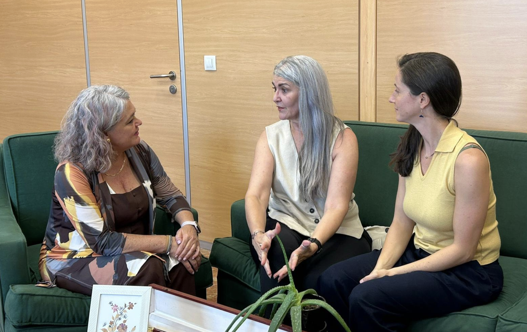 Encuentro entre la Subdelegada del Gobierno Blanca Flores y AFRA Mujeres - 