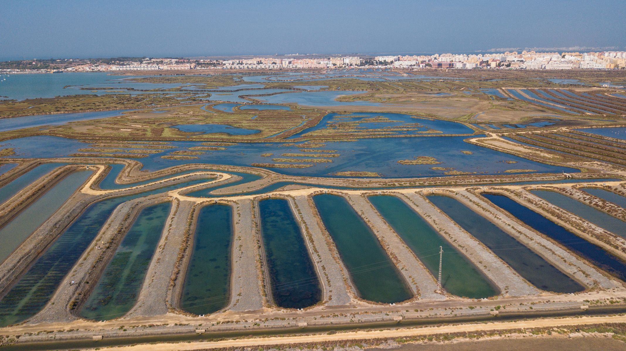 San Fernando, una Isla que tiene de todo