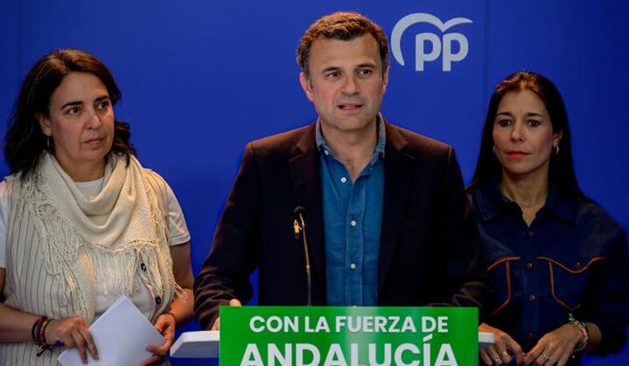 El PP de Cádiz acusa al PSOE de abandonar las carreteras durante una década