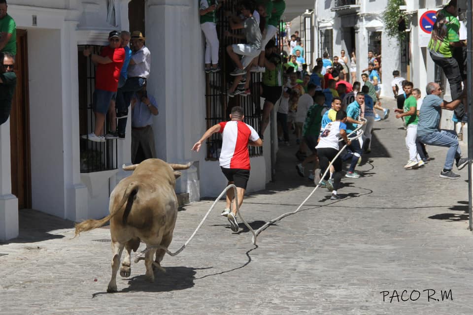 Las Fiestas del Carmen y el toro de cuerda de Grazalema, en imágenes del Ayuntamiento y de Paco RM.