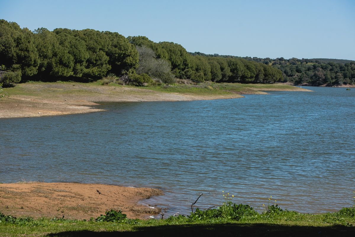 El estado del embalse del Gergal de Emasesa, en Guillena.