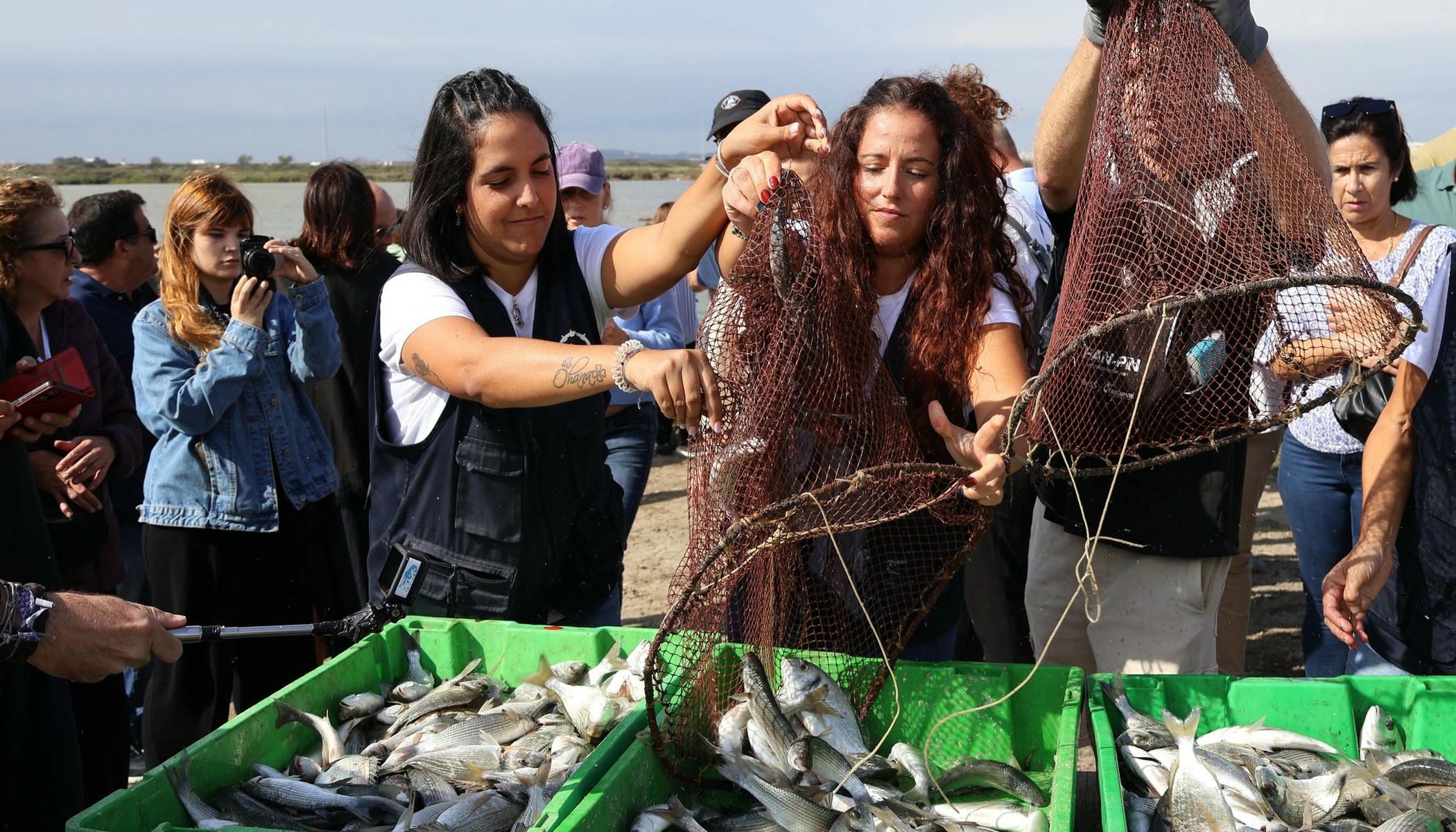 Semana del Pescado de Estero en Chiclana: estos son los horarios de las catas y el despesque