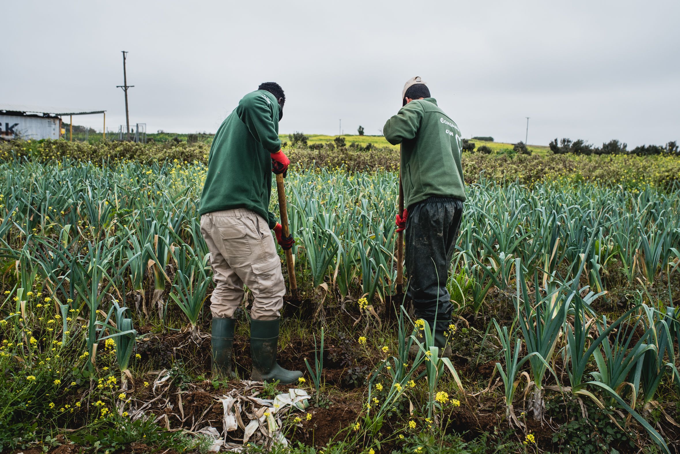 Andalucía pide que la nueva PAC no ponga en riesgo sus 1,46 millones de hectáreas con sello ecológico