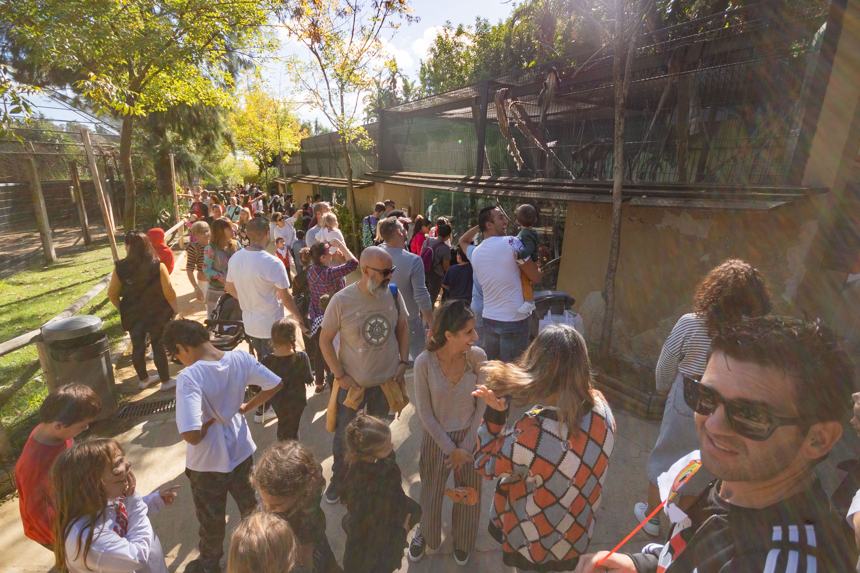 Ya se puede reservar plaza en la Escuela de Naturaleza del Zoo de Jerez para este verano: para niños de 6 a 12 años