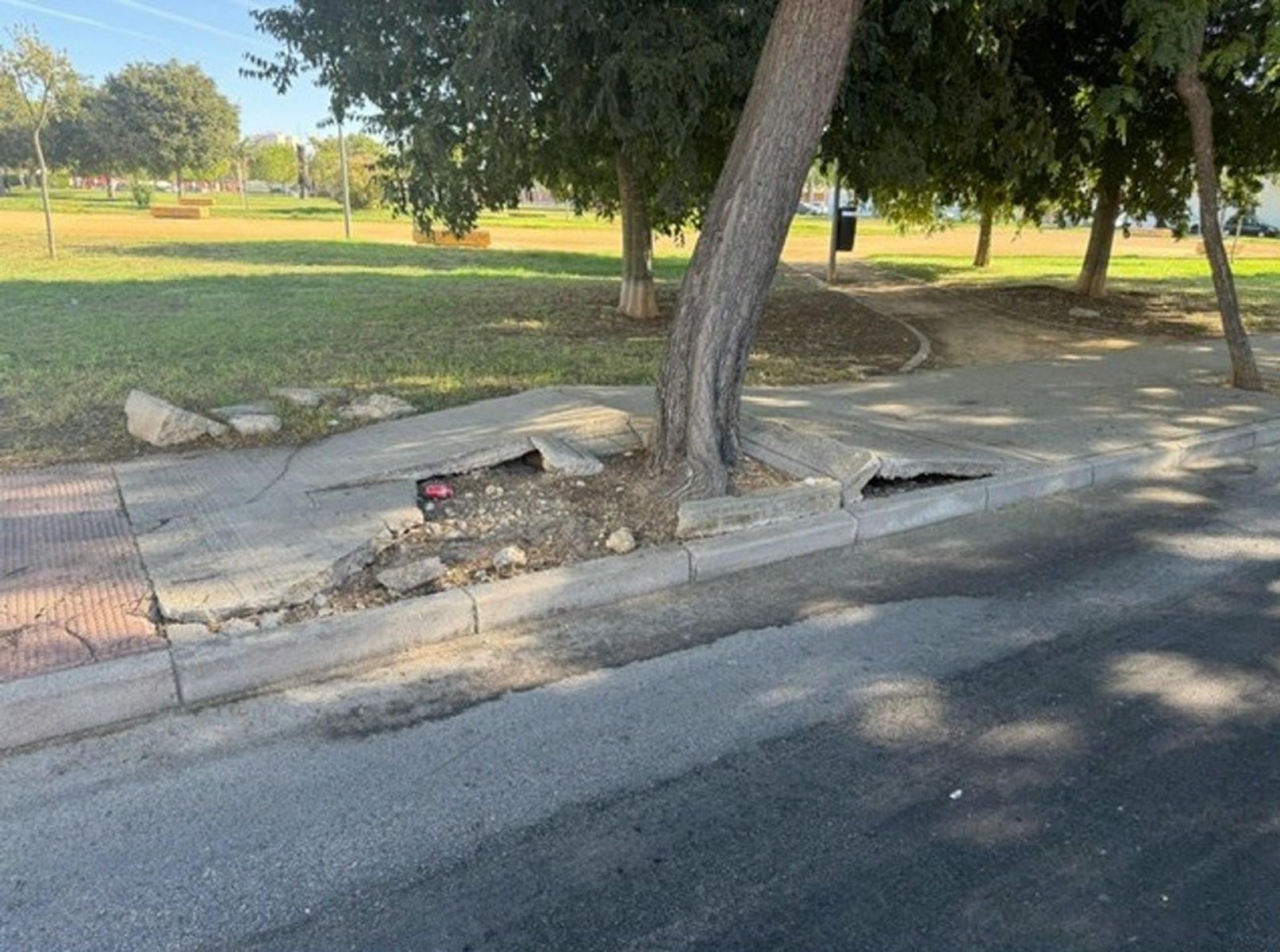 Estas son las 60 calles de Jerez que se renovarán hasta primavera de 2027 gracias a una inversión de 700.000 euros