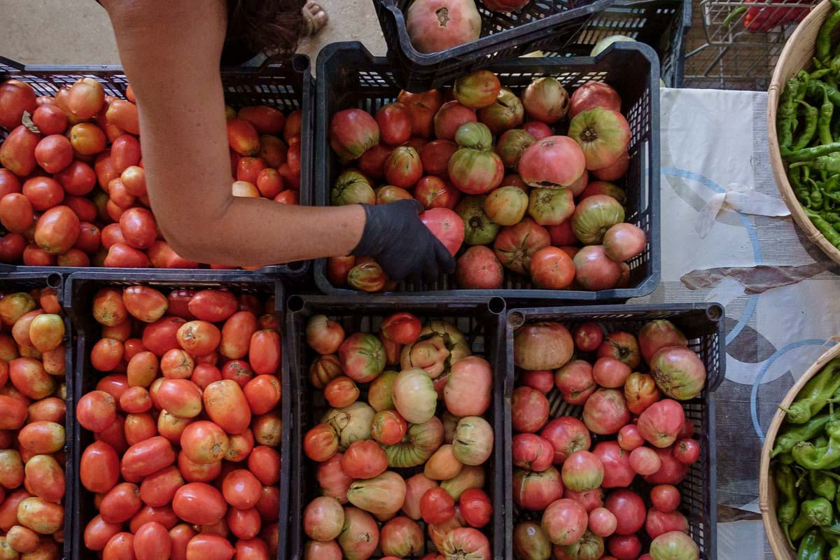 La Junta pide al Gobierno rebajar un 35% los impuestos agrícolas y un 50% los ganaderos: 