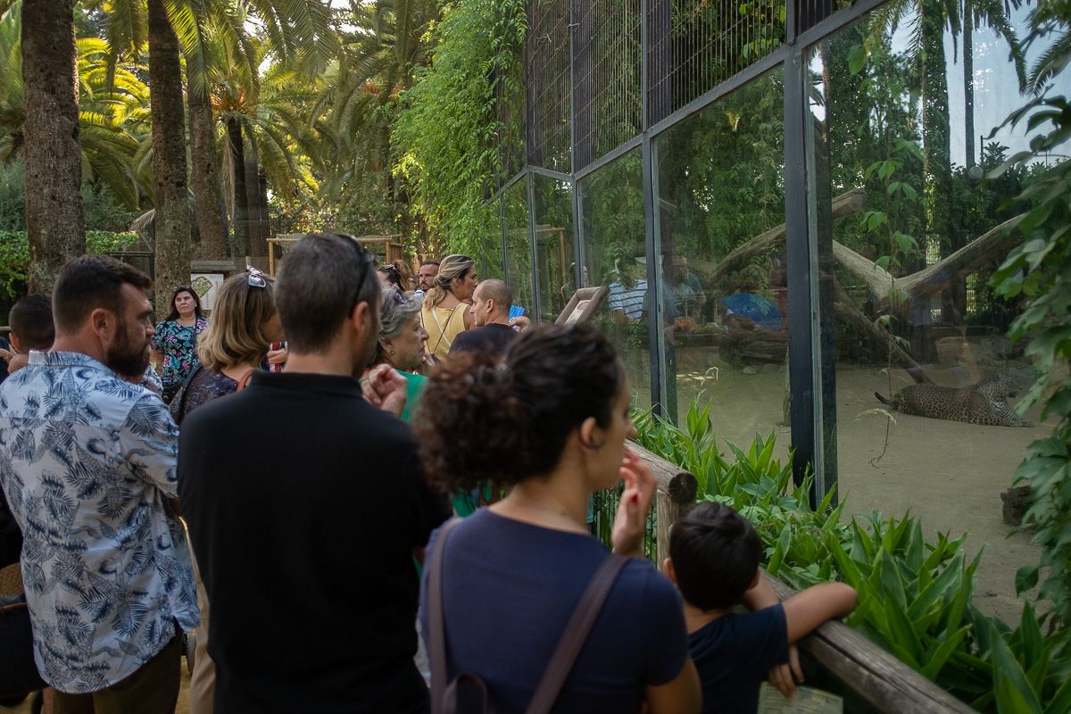 De la capibara a Madagascar: el Zoobotánico de Jerez acomete 19 mejoras para reforzar el bienestar de sus 900 animales