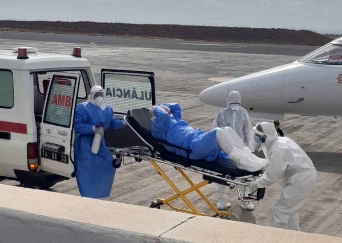 Aumentan los casos de hantavirus: la azafata del avión que llevó uno de los cadáveres tiene síntomas