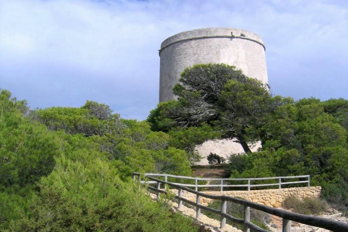 Drones, rescatistas de Guardia Civil de Ubrique y más de 100 voluntarios: el enorme despliegue para dar con los restos de Rafael en Barbate