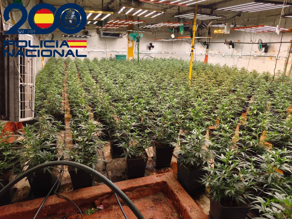 Una red usaba a toxicómanos para el transporte de droga de Dos Hermanas a Córdoba y Jaén: plantas, un arma, heroína y MDMA