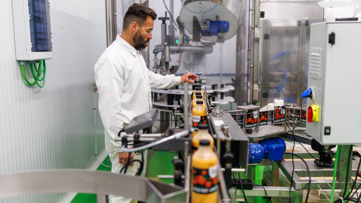 Empresa de Gazpacho Los Palacios , Tomatería Palaciega 