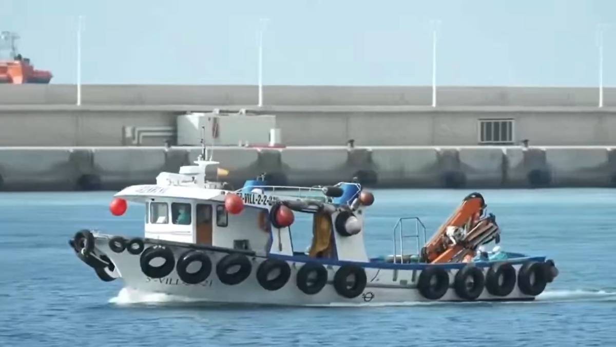 Los españoles comienzan a abandonar el barco con el brote de hantavirus: el Gobierno aclara que si hubiera ratas a bordo no podrían nadar 10 km