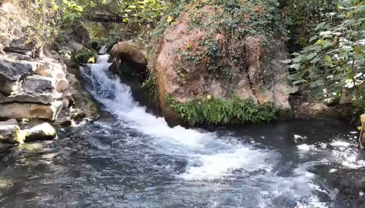 Un director jerezano saca el lado más cinematográfico del río Majaceite: este tesoro natural se cuela en un festival internacional