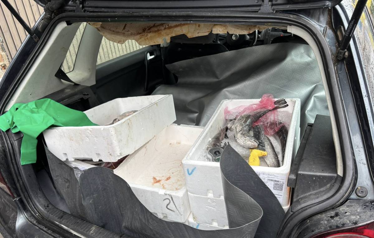 Avisan a la Policía de la presencia de un vendedor de pescado sin autorización en Chiclana: multa de 3.000 euros
