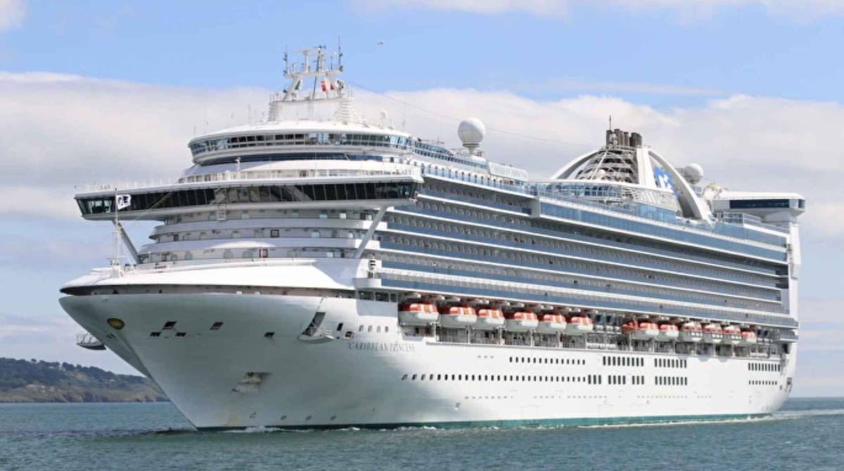 Qué es y cómo se contagia el norovirus, el virus que encendió las alarmas en otro crucero con 115 afectados