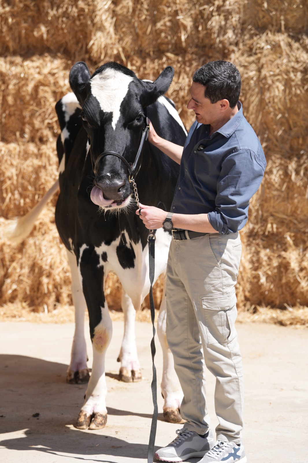 Moreno, con la vaca Blanca, en la campaña. - Moreno, con la vaca Blanca, en la campaña.