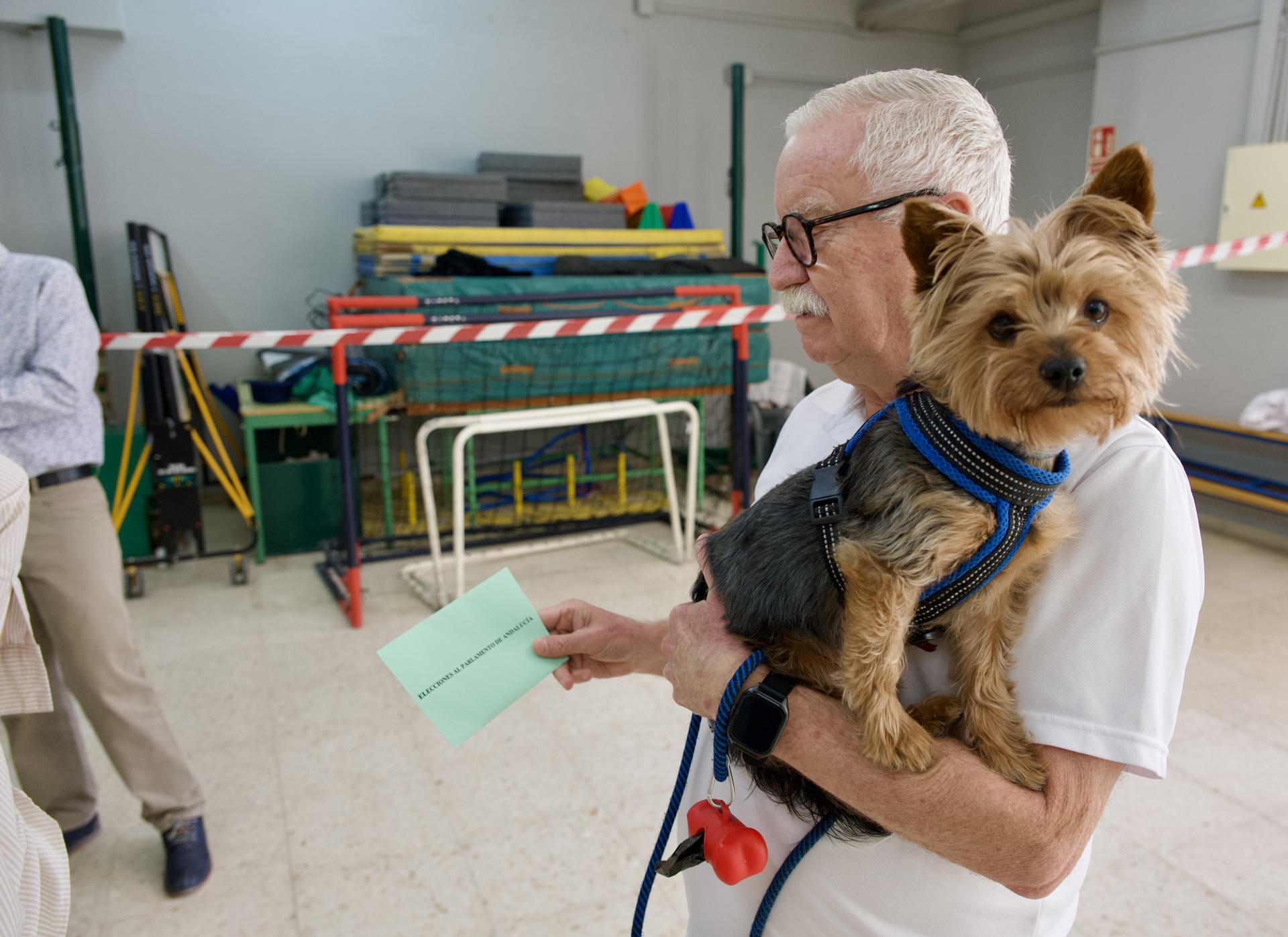 Votar con animales en Andalucía: la petición de Pacma a la Junta Electoral