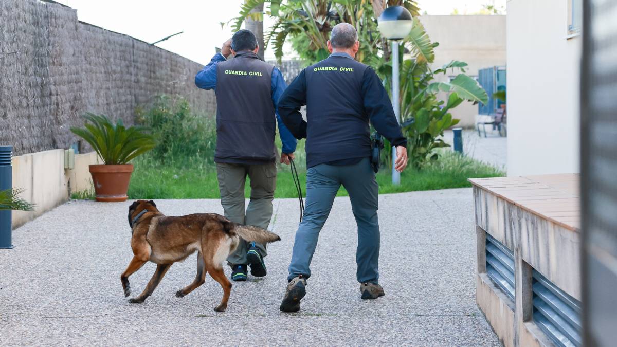 Dispositivo Guardia civil USECIC Cádiz en Jardines de Montealto Jerez 