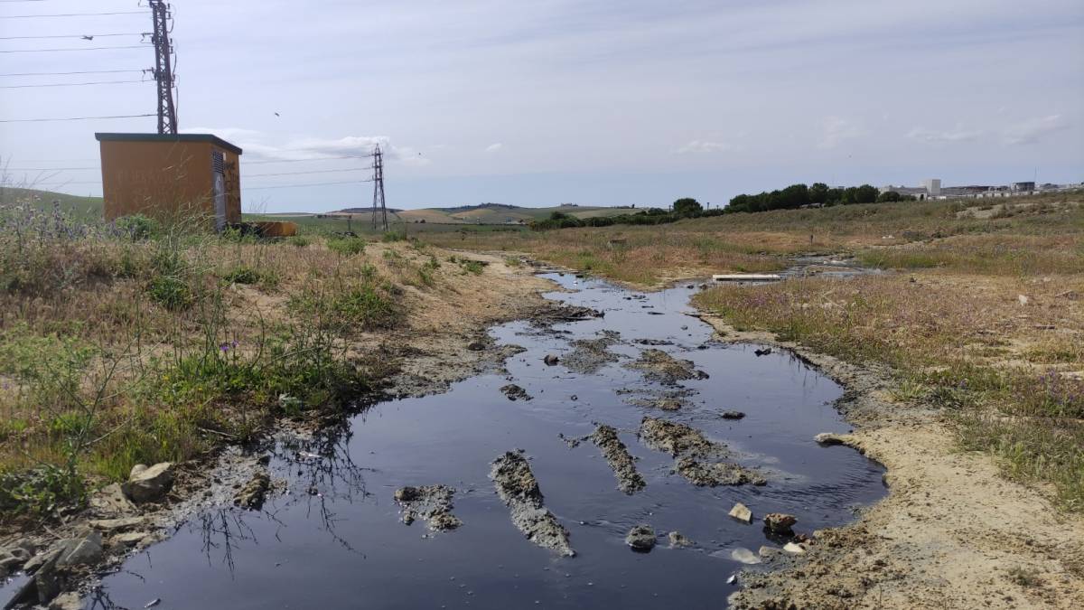 Vertido de aguas fecales zona este Jerez Ecologistas y Aquajerez - Vertido de aguas fecales zona este Jerez Ecologistas y Aquajerez