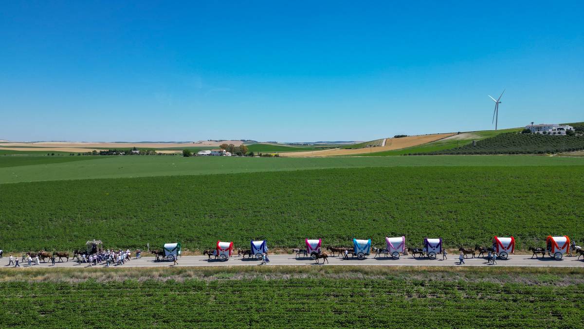Camino del Rocío hermandad de Jerez por la campiña 