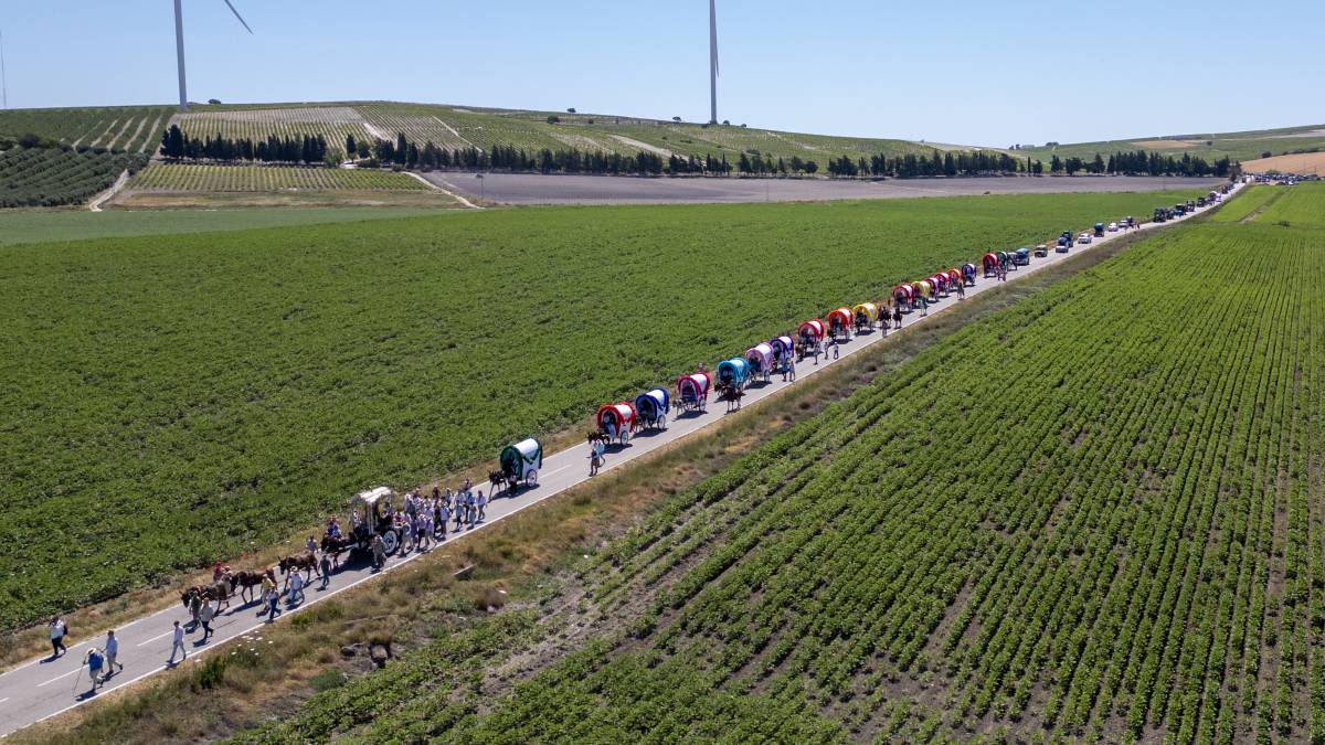 El camino hacia El Rocío, en unas impresionantes imágenes a vista de pájaro por la campiña de Jerez