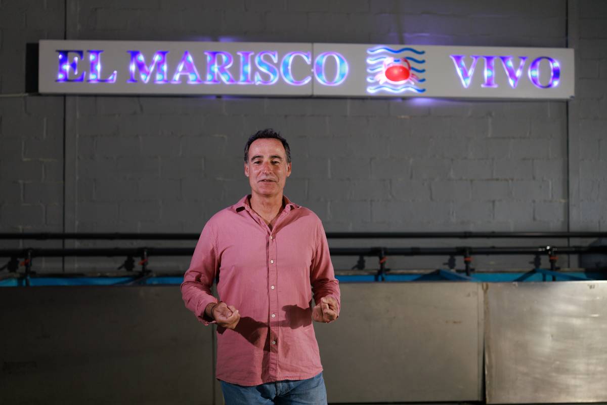 Cetarea Marisco vivo Chiclana , Grimaldi 