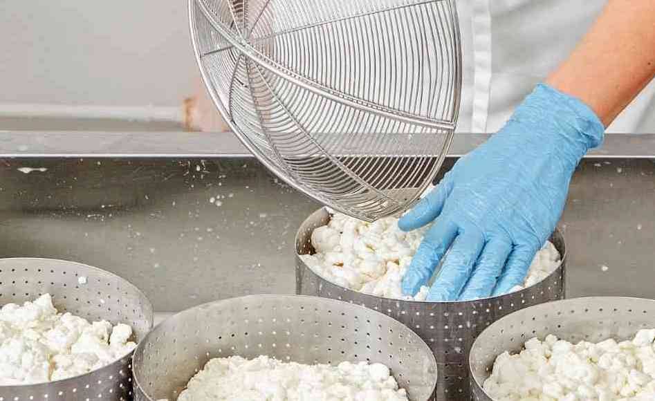 Alerta alimentaria por listeria en quesos frescos de vaca: estas son las marcas y lotes afectados