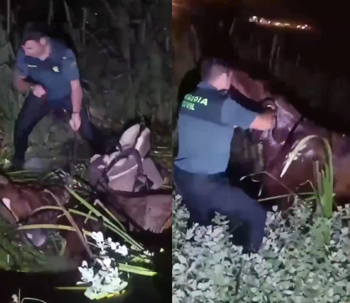 VÍDEO | Rescate de madrugada de un jinete con su caballo en una zona de lodos en El Rocío: clave, un experimentado guardia civil