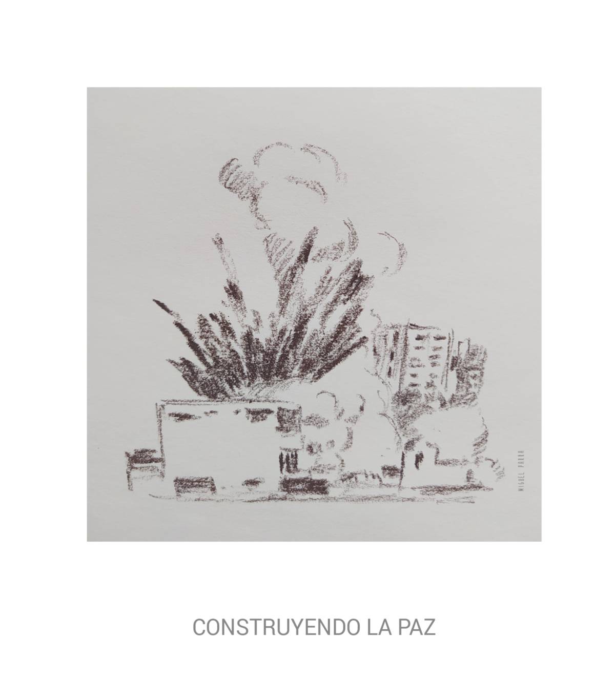 Construyendo la paz - Construyendo la paz