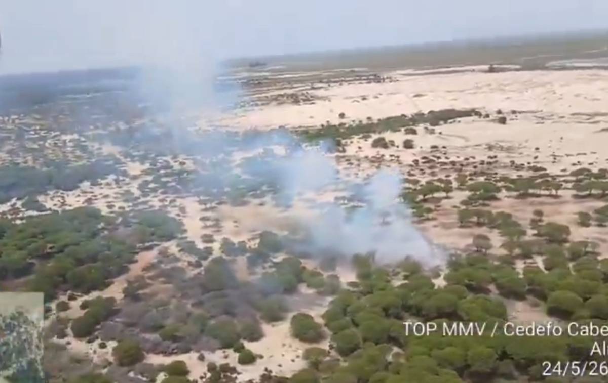 Declarado un incendio forestal en Almonte, en un paraje en la marisma del camino de Cádiz: desplegados tres grupos de Infoca