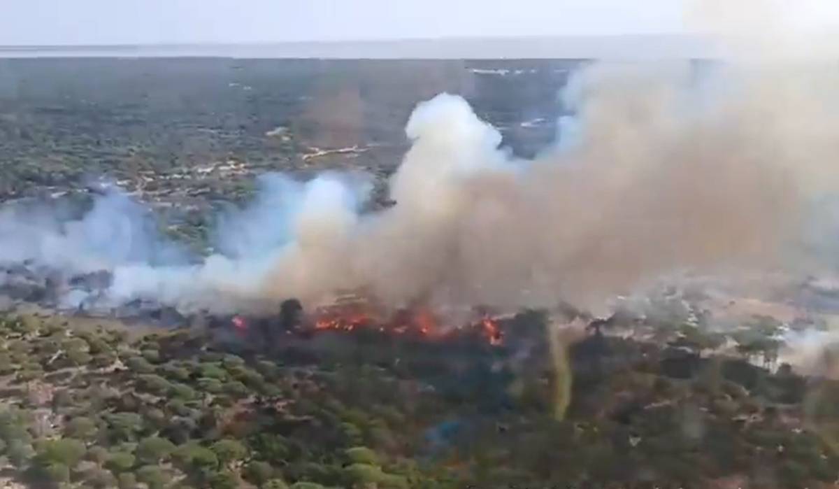 Alerta por un segundo fuego en Almonte: Infoca actúa en Marismillas, el paraje donde está el palacio presidencial