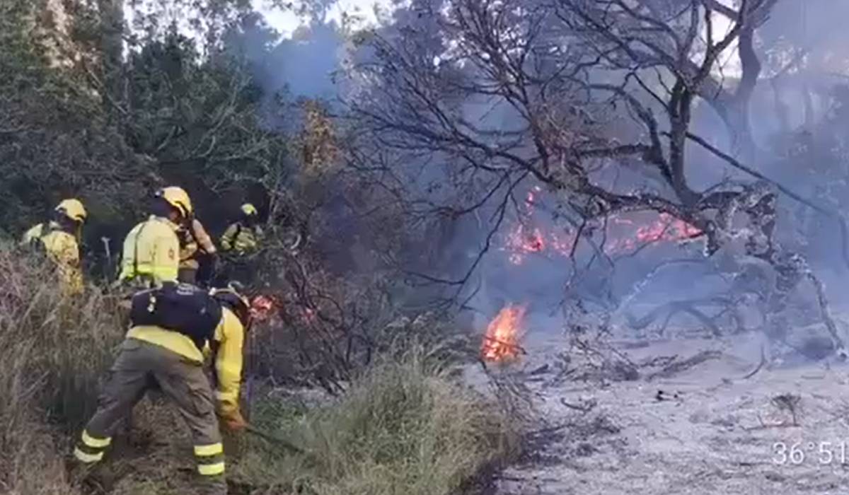 El incendio de Almonte obliga a movilizar más helicópteros en un punto clave para el regreso del Rocío