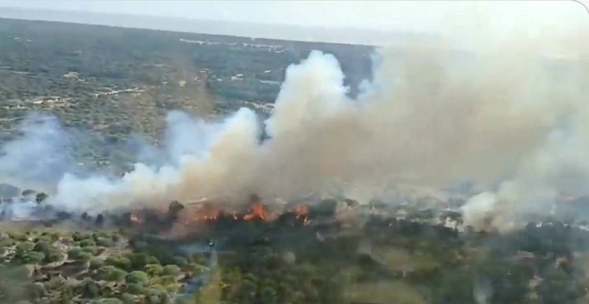 Incendios en Almonte: uno extinguido y otro controlado; la Junta descarta que el origen esté relacionado con la romería del Rocío
