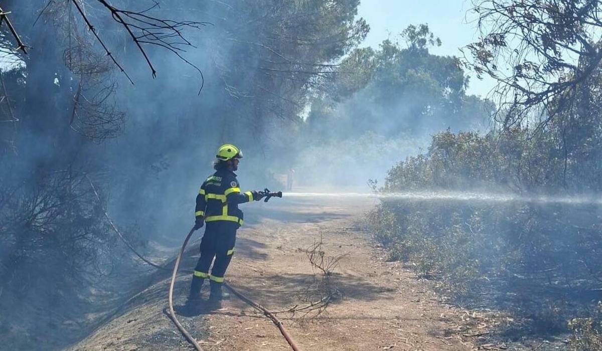 La última hora del incendio que ha bloqueado la AP-4 a la altura de Puerto Real: estado del tráfico, amplio despliegue para 'salvar' el pinar