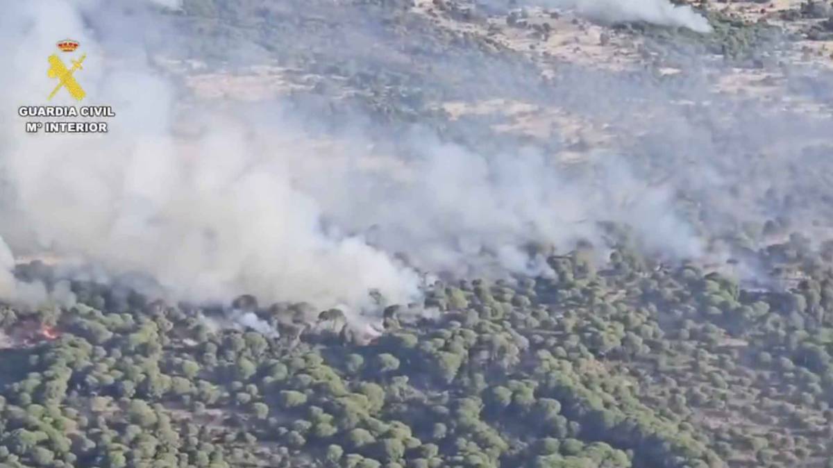 El incendio de Almonte no da tregua: 250 hectáreas calcinadas y más de 24 horas de lucha contra el fuego