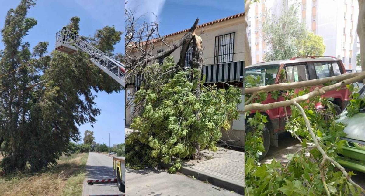 Jerez registra hasta 15 actuaciones de emergencia por las fuertes rachas de viento