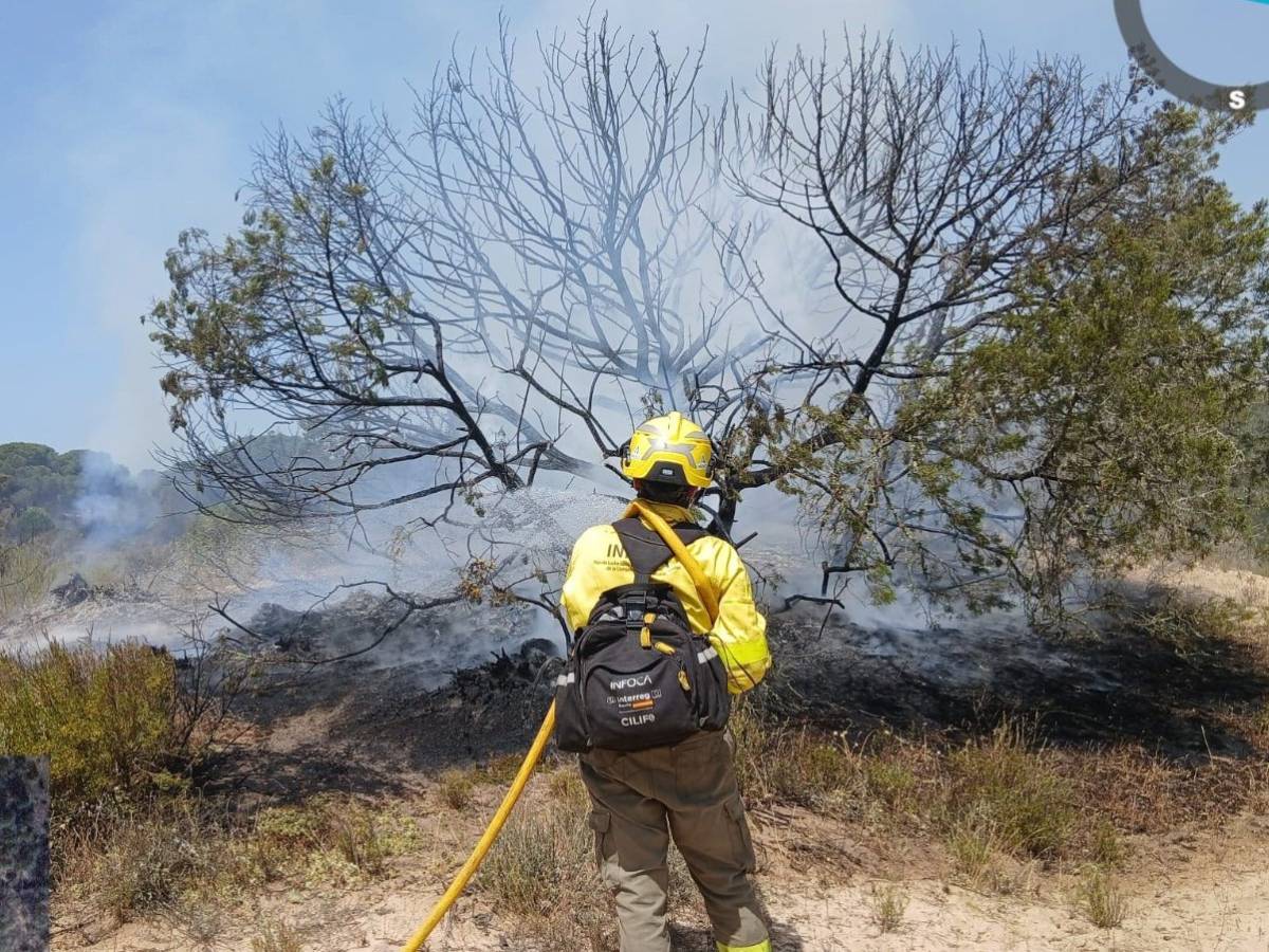 La Estación Biológica de Doñana hace la primera valoración del incendio: 