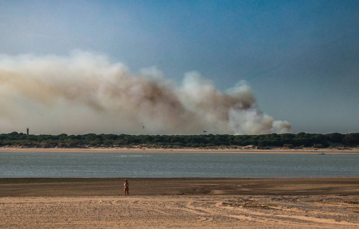 El director de la estación biológica de Doñana: 