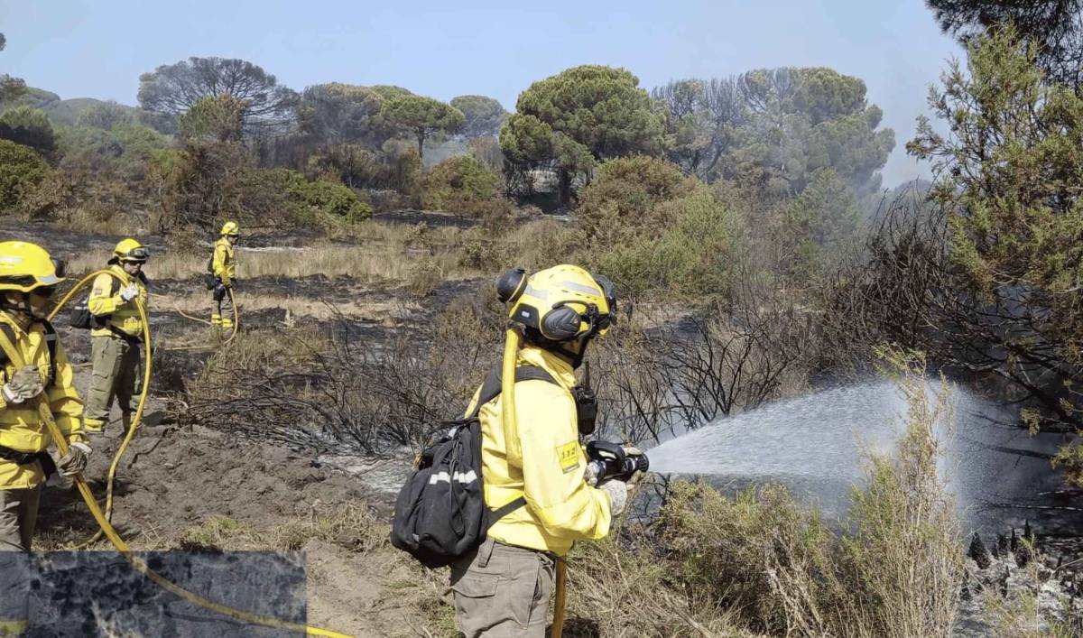 Buenas noticias en Doñana: el incendio queda estabilizado y aparecen 