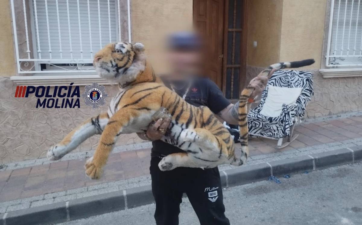 Un tigre de peluche en un tejado moviliza a la policía y deja a los vecinos con el pulso acelerado: no es la primera vez que pasa