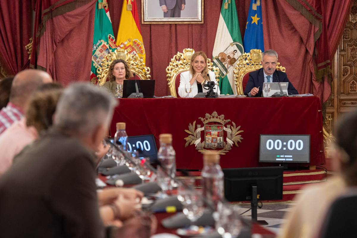 Luz verde a una 'lluvia' de 24 millones de la Diputación de Cádiz: impulsa tres planes, de empleo, obras e inversiones 