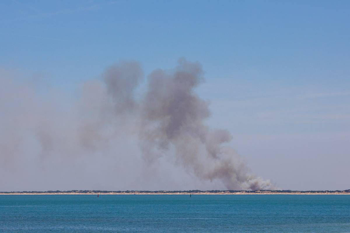 El incendio de Doñana queda controlado por fin tras cuatro días de lucha contra las llamas