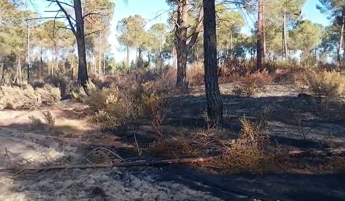 El el paraje El Pilonar, en Lucena del Puerto, Huelva, después de apagar el fuego - El el paraje El Pilonar, en Lucena del Puerto, Huelva, después de apagar el fuego