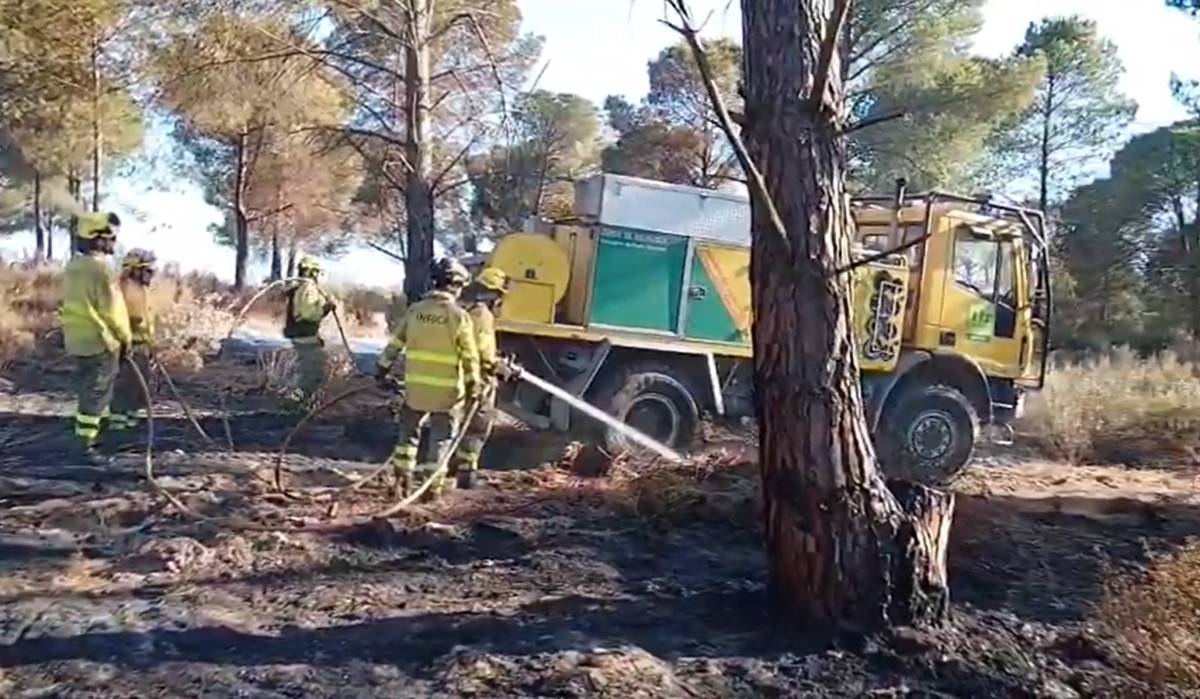 Extinguido el incendio en El Pilonar de Huelva: una finca de frutos rojos, pasto y matorral entre las zonas afectadas