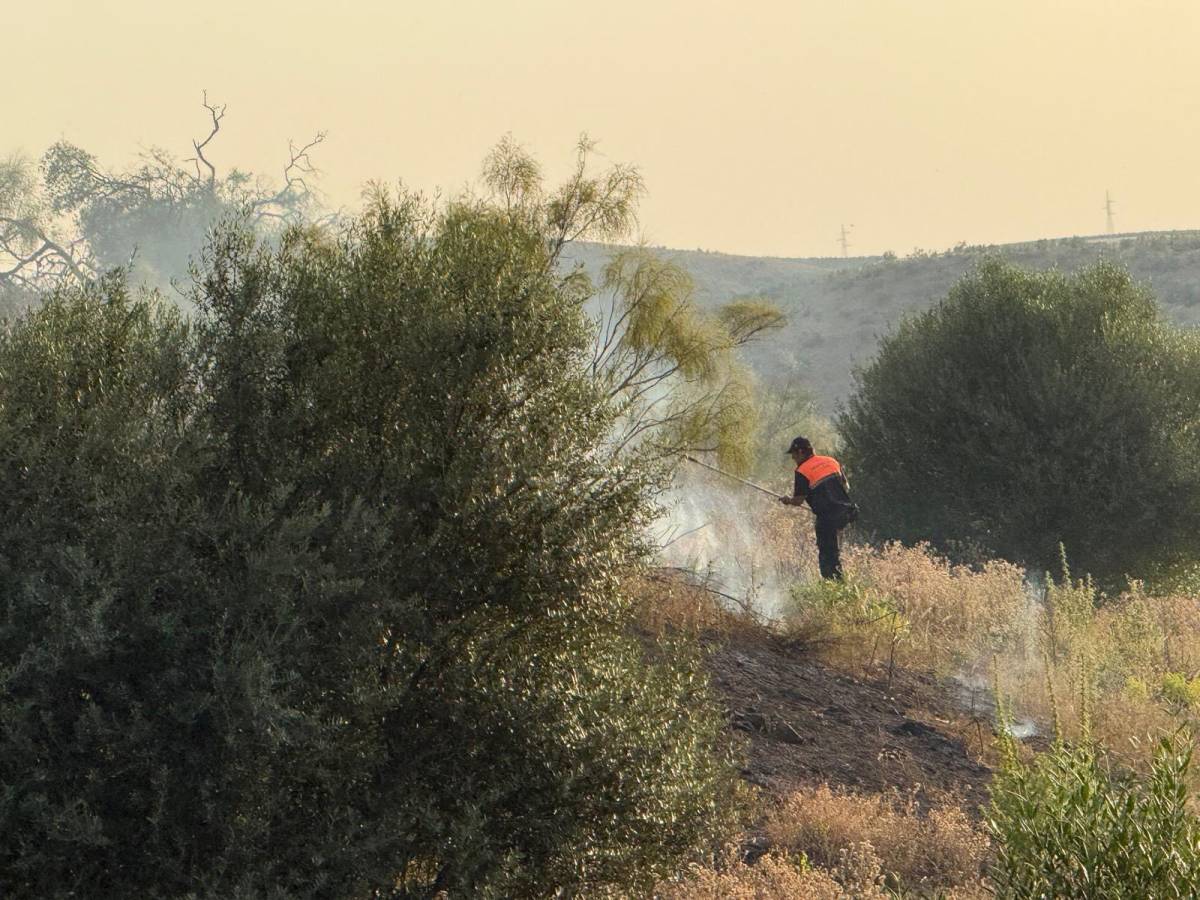 Un agente de Protección Civil en la zona de Castillo de Luna, en La Puebla de Cazalla.