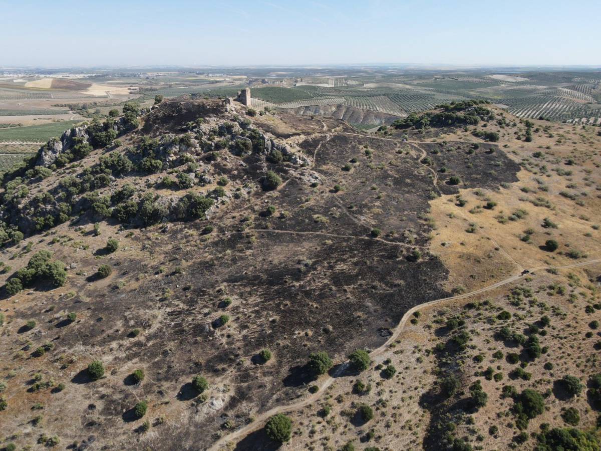 La ausencia de medios del Infoca deja solos a Policía Local, vecinos y concejales ante un incendio forestal en el Castillo de Luna